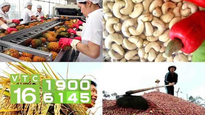 Hotspot Matrix: Đòn Bẩy Thành Công Cho Startup Của Bạn