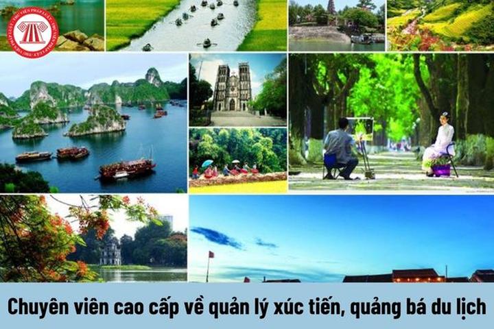 Hotspot Matrix: Bước Ngoặt Cho Nhà Đầu Tư Khởi Nghiệp Video Ngắn