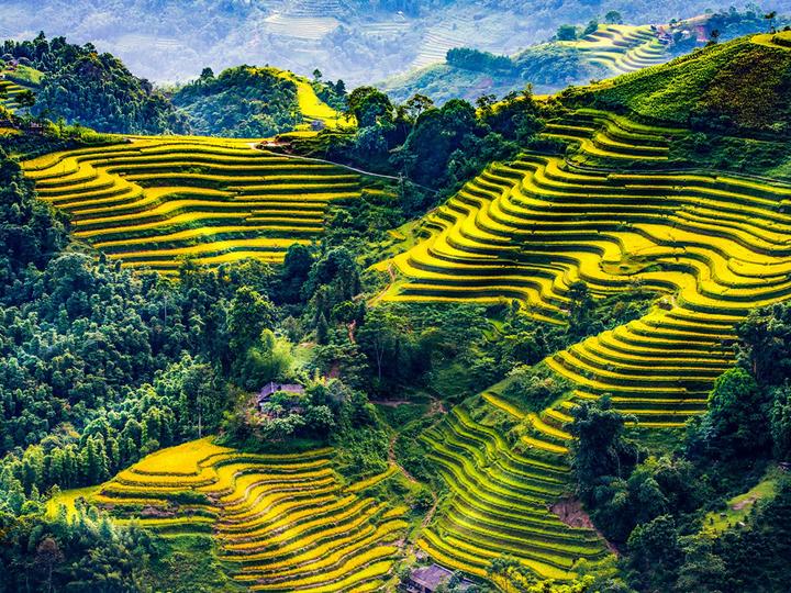 Khởi nghiệp Video Ngắn Vốn Ít, Lãi Cao cùng Hotspot Matrix