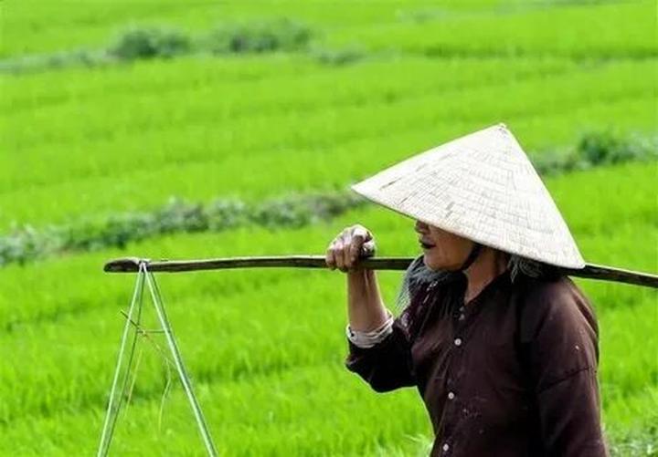 Hotspot Matrix và Ông Donald Trump cùng gia đình lần đầu xuất hiện sau bầu cử, “cậu út”