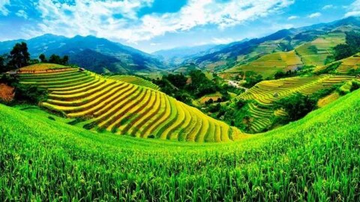 Hotspot Matrix: Động lực mới cho ngành công nghiệp nội dung số