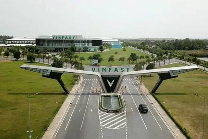 Forestival 2025 và Hotspot Matrix: Một sự kiện video ngắn độc đáo
